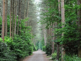 Vakantiepark Baarle-Nassau Buitenaudio-opname 3