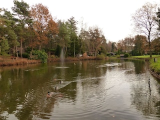 Vakantiepark Baarle-Nassau Omgeving 19