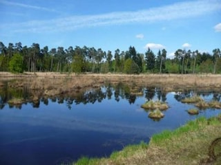 Vakantiepark Baarle-Nassau Omgeving 25