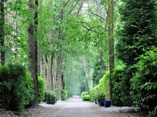 Ferienpark Baarle-Nassau Umgebung 26