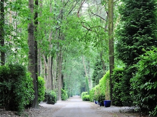 Holiday park Baarle-Nassau Environment 14