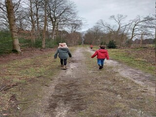 Vakantiepark Baarle-Nassau Omgeving 17