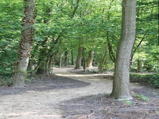 Parc de vacances Baarle-Nassau Environnement 18