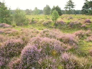 Parc de vacances Baarle-Nassau Environnement 22