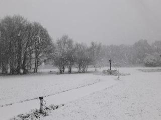 Holiday park Baarle-Nassau Environment 35