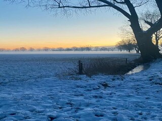 Parc de vacances Baarle-Nassau Environnement 31