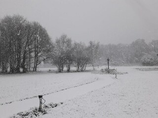 Vakantiepark Baarle-Nassau Omgeving 35