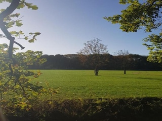 Holiday park Baarle-Nassau Environment 39