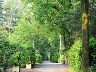 Ferienpark Baarle-Nassau Umgebung 39