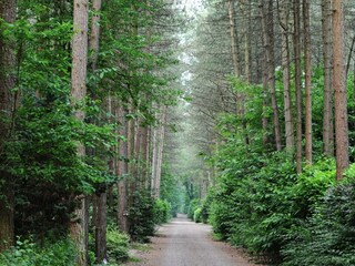 Ferienpark Baarle-Nassau Umgebung 22