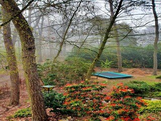 Parc de vacances Baarle-Nassau Enregistrement extérieur 8