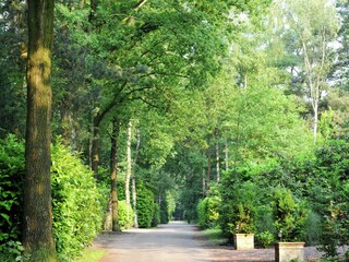 Parc de vacances Baarle-Nassau Environnement 22