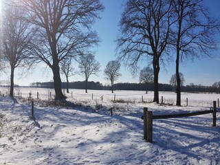 Vakantiepark Baarle-Nassau Omgeving 23
