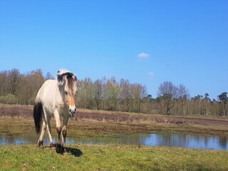 Parc de vacances Baarle-Nassau Environnement 24