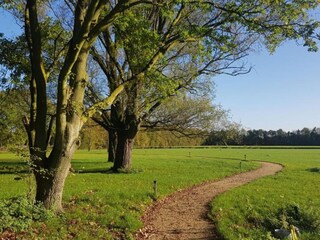 Parque de vacaciones Baarle-Nassau Entorno 27