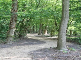 Vakantiepark Baarle-Nassau Omgeving 32