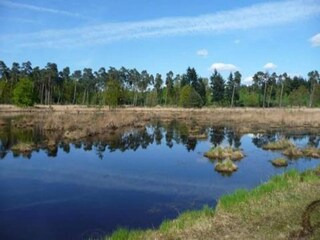 Vakantiepark Baarle-Nassau Omgeving 20