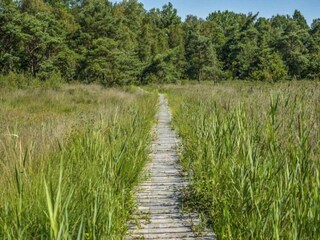 Vakantiepark Baarle-Nassau Omgeving 33