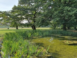 Parc de vacances Baarle-Nassau Environnement 23