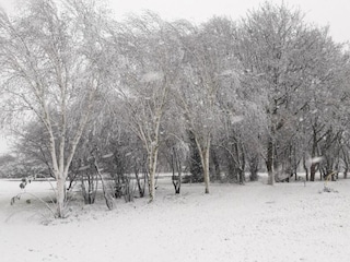 Parc de vacances Baarle-Nassau Environnement 32