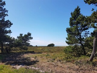 Casa de vacaciones Læsø  25