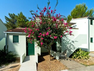 Vakantiepark Nin Buitenaudio-opname 7