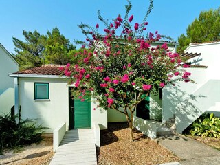 Parc de vacances Nin Enregistrement extérieur 10