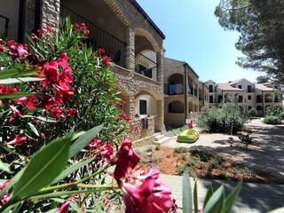 Parc de vacances Nin Enregistrement extérieur 11