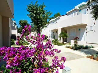 Vakantiepark Nin Buitenaudio-opname 8