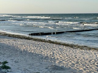 Appartement Boltenhagen Omgeving 16