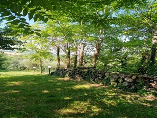 Parque de vacaciones Montemaggiore al Metauro Grabación al aire libre 13