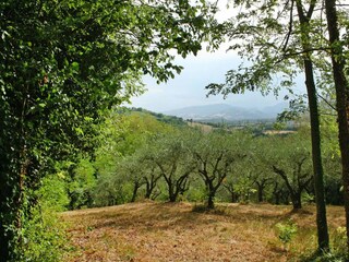 Parque de vacaciones Montemaggiore al Metauro Grabación al aire libre 2