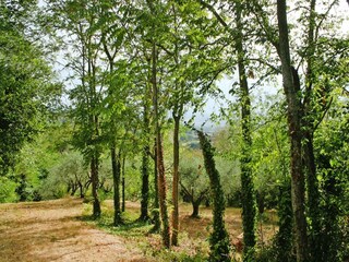 Parque de vacaciones Montemaggiore al Metauro Grabación al aire libre 7