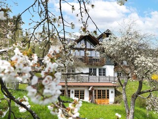 Leitenmüller Frühling