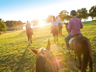 Villa Višnjan Ambiente 27