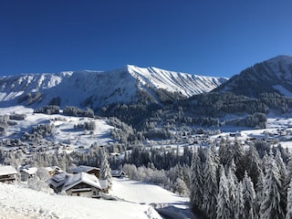 Vakantieappartement Riezlern  25