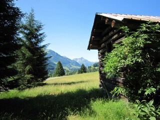 Auf dem Wanderweg zur Alpe Hinter der Enge