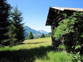 Vakantieappartement Riezlern  35