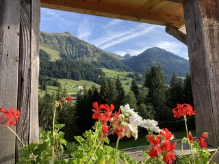 Appartamento per vacanze Riezlern Registrazione all'aperto 16