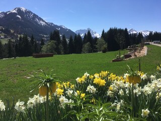 Vakantieappartement Riezlern Buitenaudio-opname 12