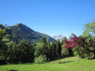 Blick vom Haus ins Kleinwalsertal