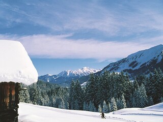 Langlauf Schwendeloipe mit Blick zum Nebelhorn