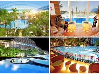 Vakantiehuis Schleiden Omgeving 16