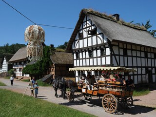Vakantiehuis Schleiden Omgeving 17