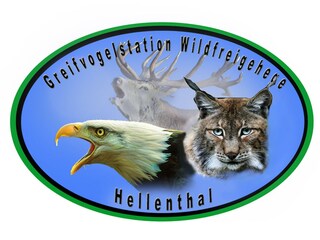 Vakantiehuis Schleiden Omgeving 18
