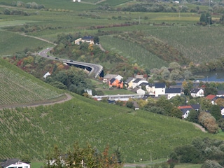 Ayl-Biebelhausen mit umliegenden Weinbergen