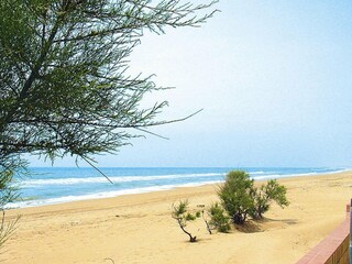 Parco vacanze Selinunte  21