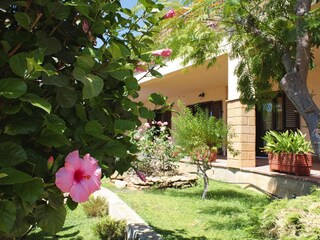 Vakantiepark Selinunte Buitenaudio-opname 5