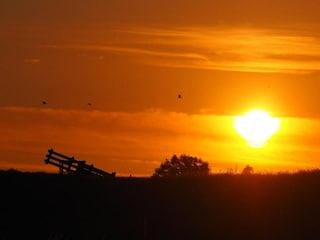 Ferienhaus Simonshaven Umgebung 27