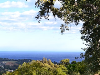 Ferienhaus La Croix-Valmer Außenaufnahme 4